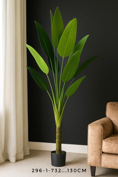 شجرة موز 220 سم